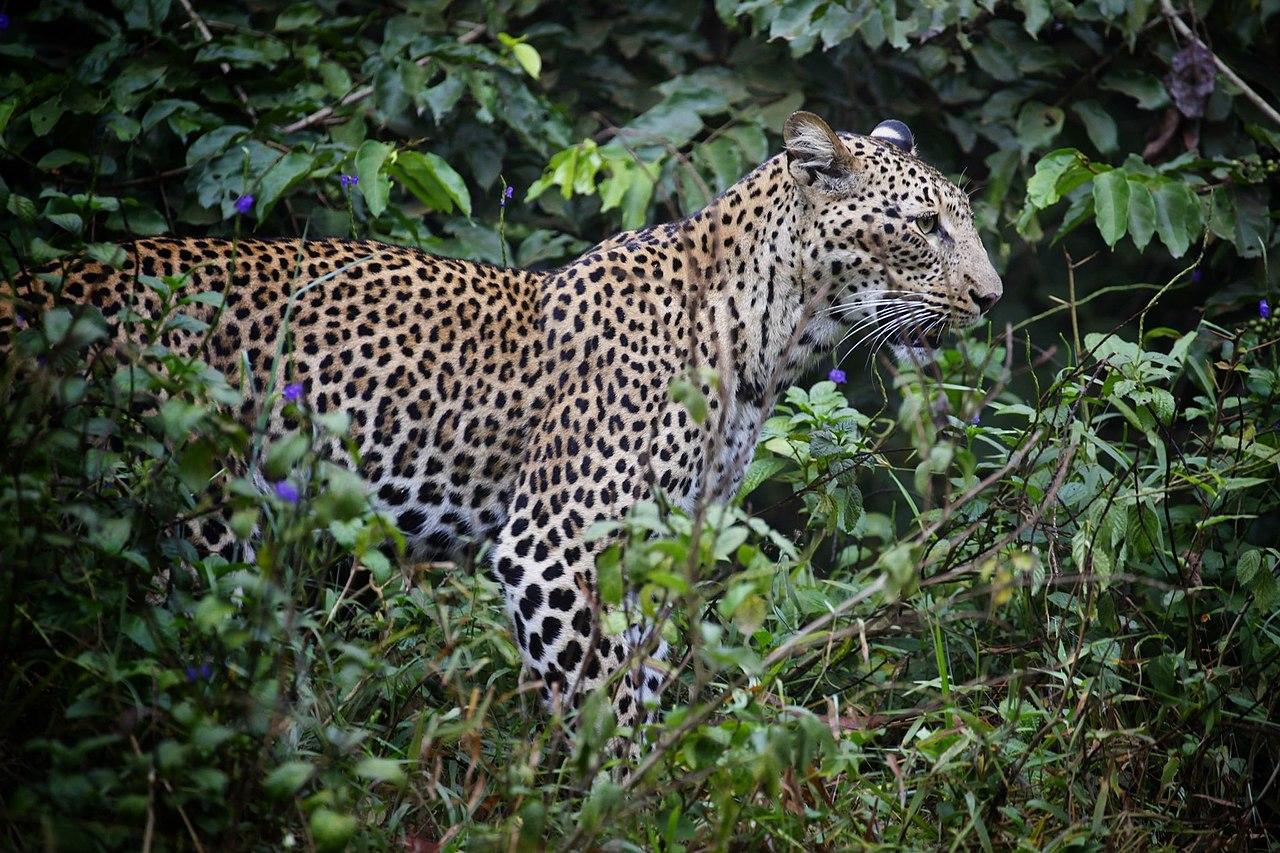 Mombasa, Kenya